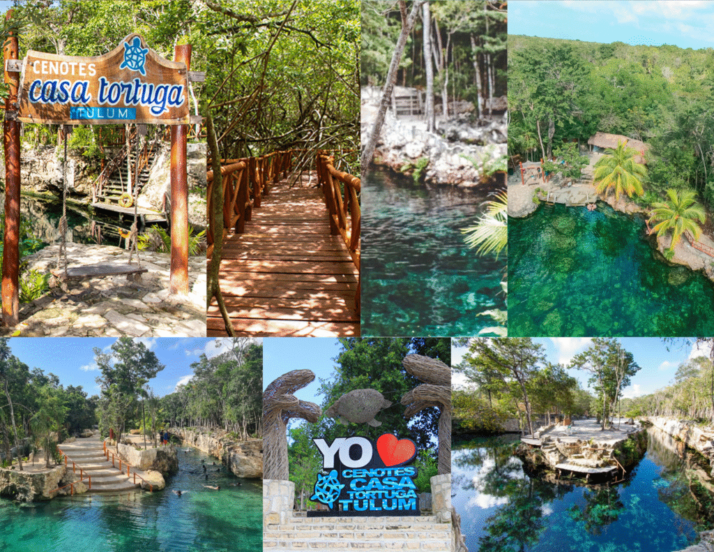Cenotes 6 cenotes