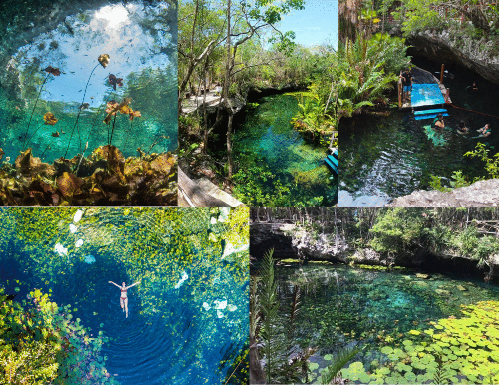 Cenotes 14 cenotes