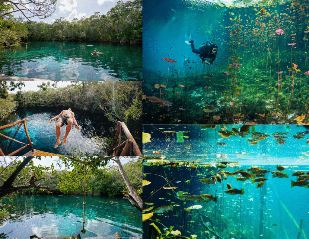 Cenotes 13 cenotes