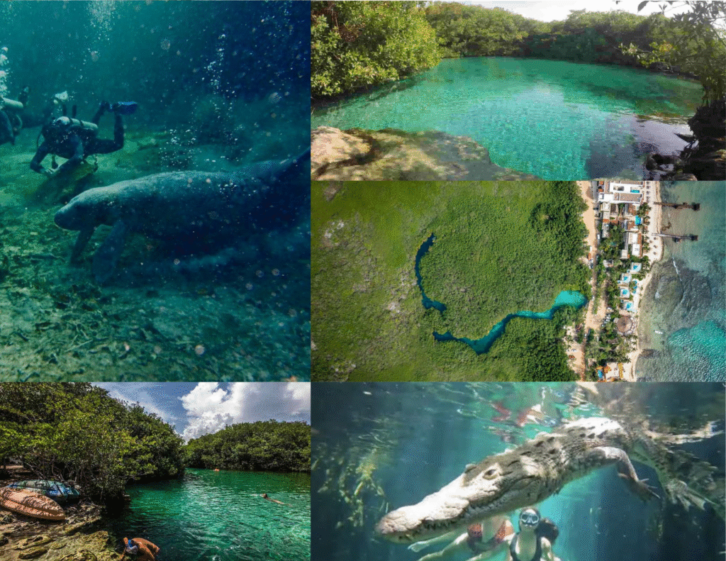 Cenotes 8 cenotes