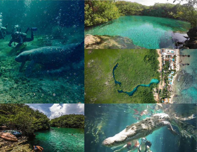 Servicios 2 cenote manati en tulum